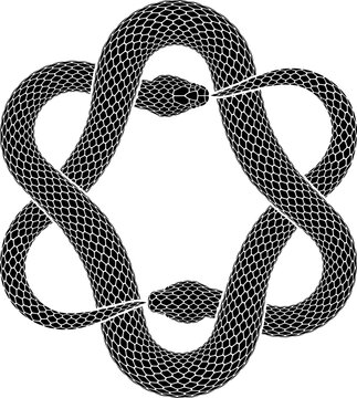 Vector tattoo design of two black snakes biting their tails intertwined in the shape of hexagram sign. Isolated black silhouette of Ouroboros symbol.