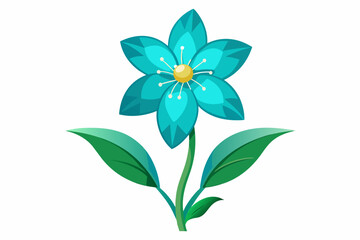 Amarnath-wild-turquoise-flower vector illustration 