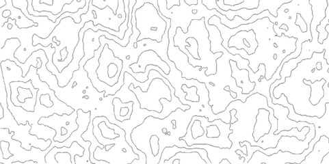 Abstract Topographic map background with wave line, topographic contours map background with geometric lines, Blank Detailed Topographic Contour Map.