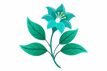 Amarnath wild Turquoise flower green leaves on white background