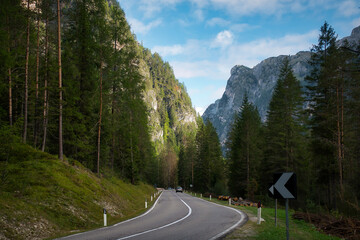 Eine Straße durch einen Wald in einem Tal, mit einem Auto in der Ferne und einem Bergmassiv im...