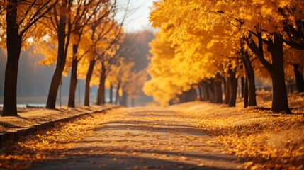 Naklejka na ściany i meble Fall Scenery With Trees And Yellow Leaves