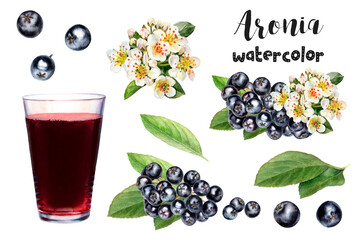 Watercolor illustration of aronia chokeberry berries and juice close up. Design template for packaging, menu, postcards. PNG