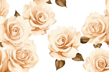 Tan roses watercolor clipart on white background, defined edges floral flower pattern background with copy space for design text or photo backdrop minimalistic 