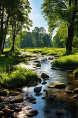 A babbling brook flows through a lush green forest - obrazy, fototapety, plakaty