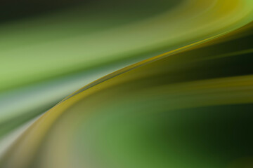 Abstract gradient Blurred colored background. Smooth transitions of iridescent black and green colors. Colorful Rainbow backdrop Smooth Texture Graphic wallpaper