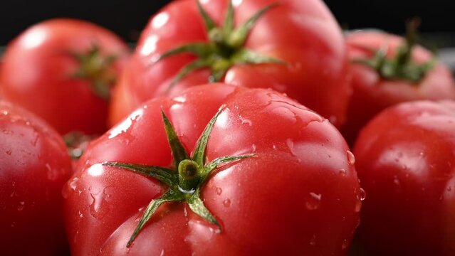 Cooking delicious Italian food. Splashes of water on juicy tomatoes in slow motion shot with a macro lens.