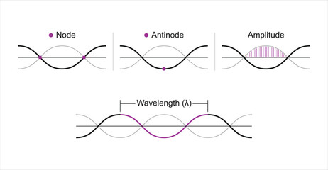 Characteristics of Harmonic Waves illustration features Nodes, Antinodes, Amplitude, and Wavelength.