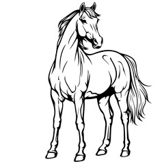 Obraz na płótnie Canvas Arabian Horse Logo Design