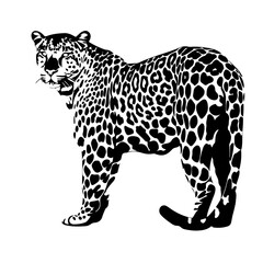 jaguar Logo Design