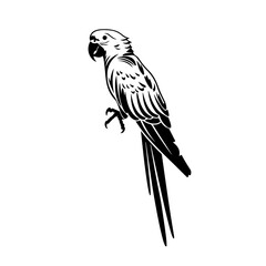 silhouette of parrot Logo Design