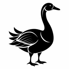 goose isolated on white vector illustration