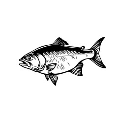 Smoked Fish Logo Design