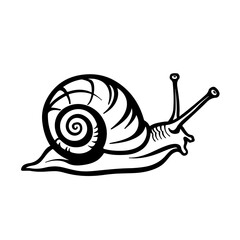 Snail Logo Design