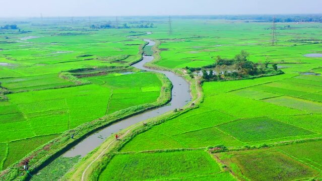 Above the Ordinary: Aerial Marvels of Village Field Majesty