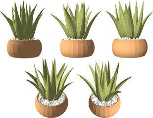 vector design sketch illustration of a beautiful small ornamental plant in a pot for home interior table decoration