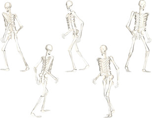 vector design sketch illustration of a human skull skeleton running