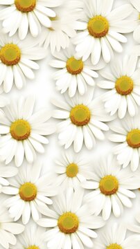 White and white daisy pattern, hand draw, simple line, flower floral spring summer background design with copy space for text or photo backdrop