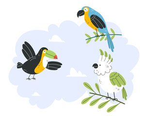 Jungle tropical birds isolated set. Vector flat graphic design illustration