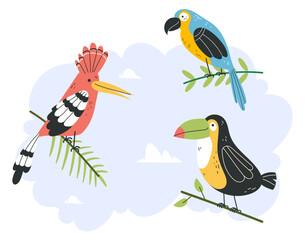 Obraz na płótnie Canvas Jungle tropical birds isolated set. Vector flat graphic design illustration