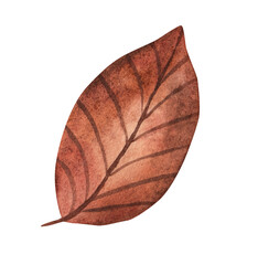 Autumn leaf. cartoon, hand drawing. Watercolor illustration