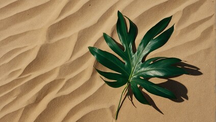 A single vibrant green leaf stands out against the rippled texture of golden desert sand dunes under sunlight
