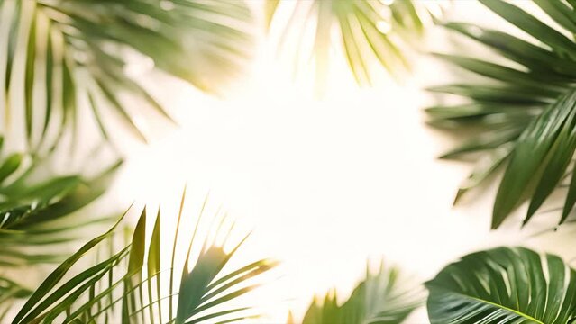 palm leaves frame background with copy space.
White backdrop with green leaves
