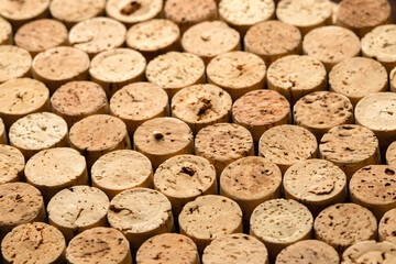 Wine corks texture background. This image provides the perfect backdrop for wine-related designs and concepts.