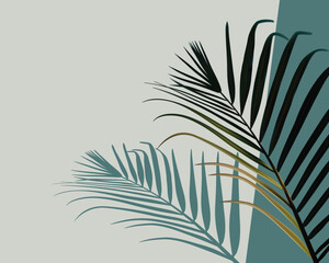 Vector shadow from tropical palm leaves on the gray floor. Workplace and relaxation on the beach