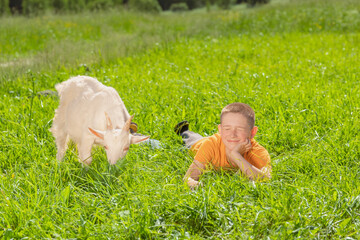 A boy in an orange shirt smiling while lying in the grass near a white goat.