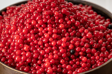 red currant berries lying in a saucepan shot at an angle of 45Â°
