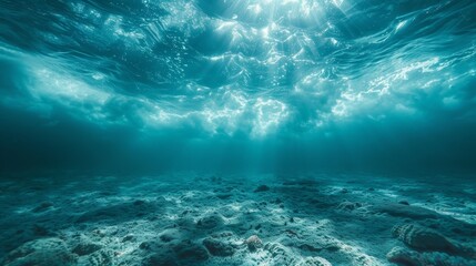 Sunlight streams through clear ocean water, highlighting the textured coral sea floor in a captivating underwater scene. - obrazy, fototapety, plakaty