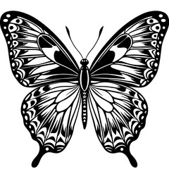 butterfly vector design 