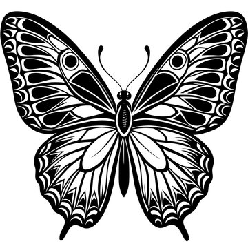 butterfly vector design 