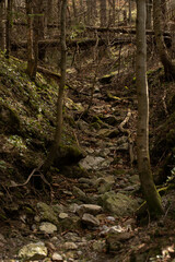 Hiking in early spring in the European mountains, Wet, gloomy and mystical mountain landscape, tourist walks in nature and fresh air in the Polish Tatras
