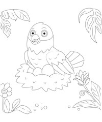 love bird coloring book page for kids 