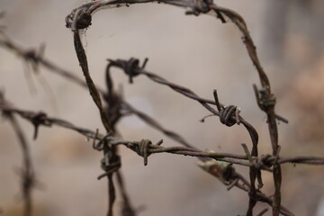 Closeup of barbed wire on fence at Cu Chi, Ho Chi Minh City, Vietnam on march 4, 2024