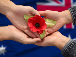 Anzac is the Australian national holiday. Hands with poppy buds on national flag background.