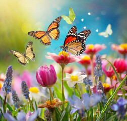 Spring flowers and butterflies - 779072643