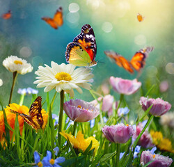 Spring flowers and butterflies - 779072645