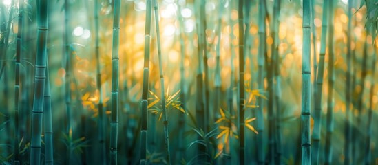 A cluster of bamboo trees in a forest, their slender trunks and lush green leaves appearing blurred. The dense foliage creates a serene atmosphere. - Powered by Adobe