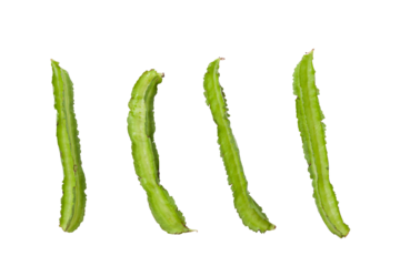 Green winged bean also known as cigarillas isolated on white background