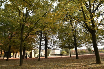 Jardin du Luxembourg en automne à Paris. France - 779077696