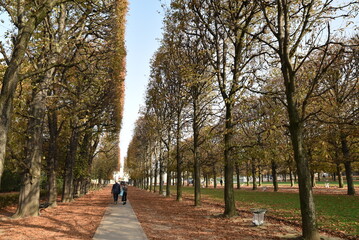 Flâner au Jardin du Luxembourg en automne à Paris. France - 779077868