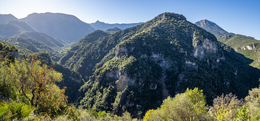 Green Gorge Path in Grazalema Mountain range, Spain - obrazy, fototapety, plakaty