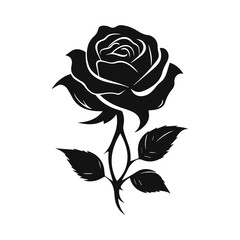 black rose flower vector illustration