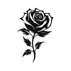 black rose flower vector illustration
