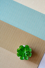 one green artificial decor on a brown and blue striped tablecloth. Free place for text and logo