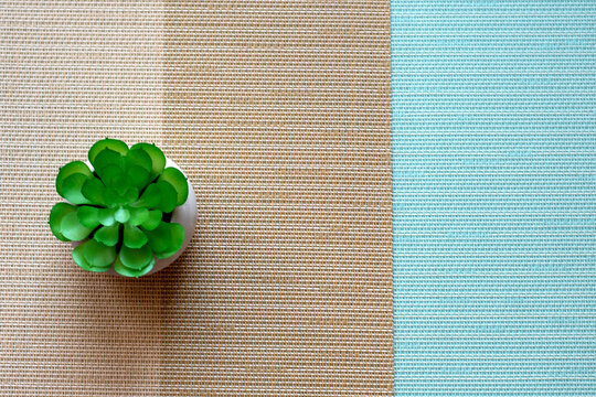 one green artificial decor on a brown and blue striped tablecloth. Free place for text and logo