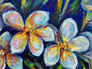 Original oil painting frangipani flower and Plumeria	